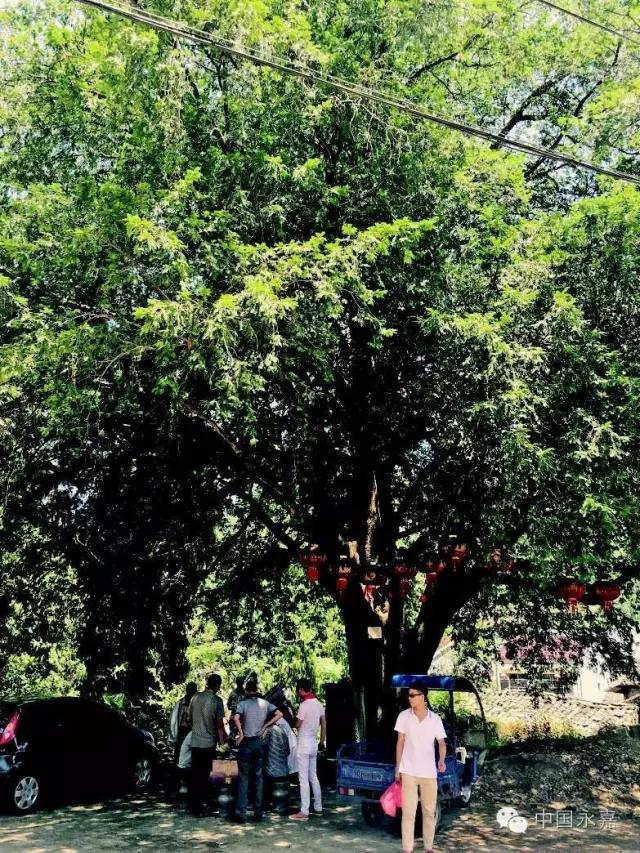 永嘉古村古镇,永嘉县哪些古村落