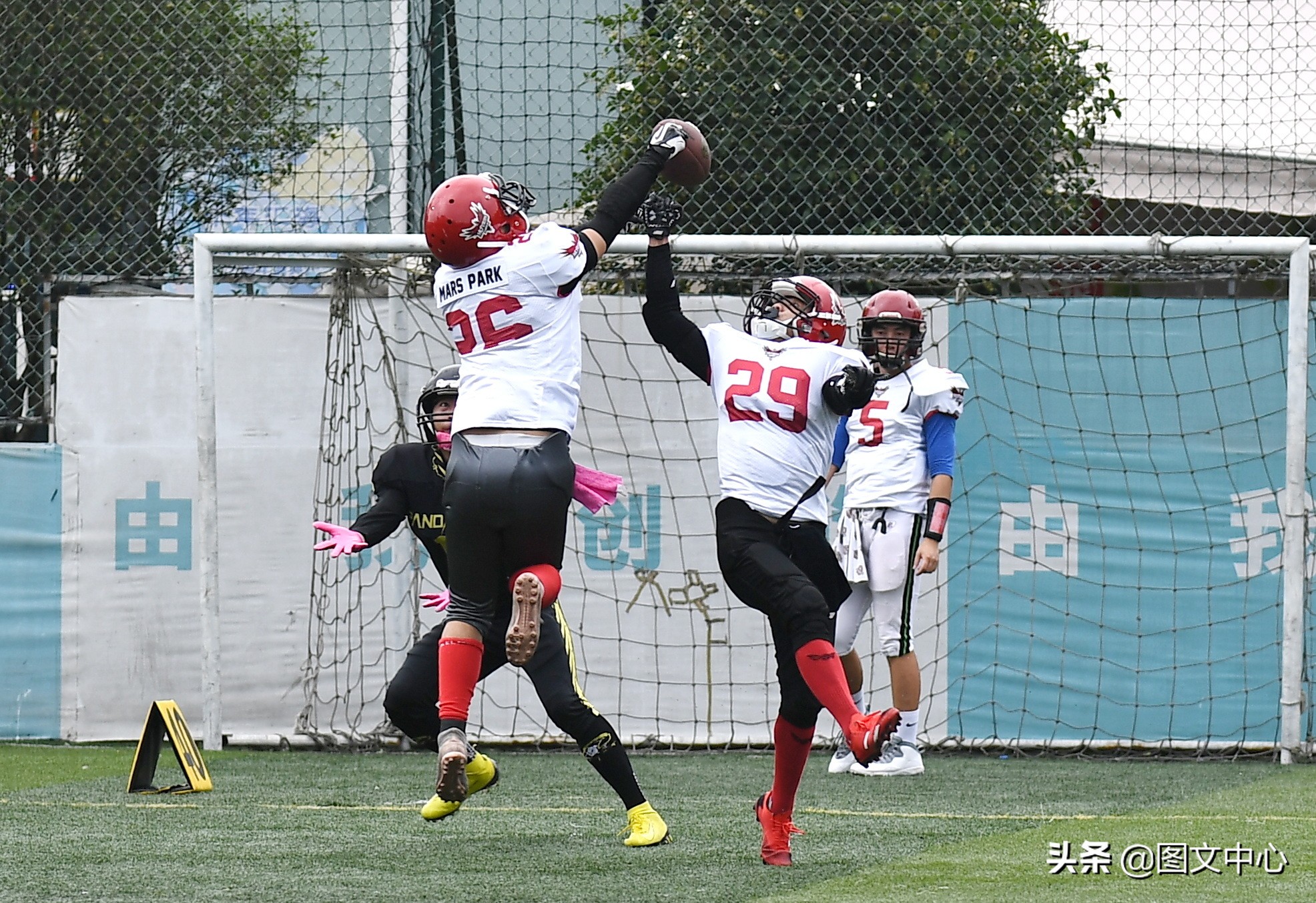 cnfl中国橄榄球联赛官网,cnfl橄榄球队伍