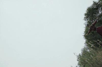 许光汉宋威龙视频通话模板,宋茜谭松韵任嘉伦李现千玺