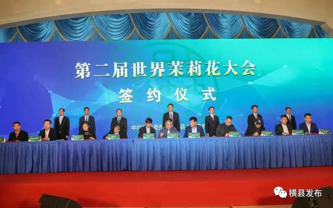 从象州到横县多少公里,由县城到市区的行程数据查得到吗