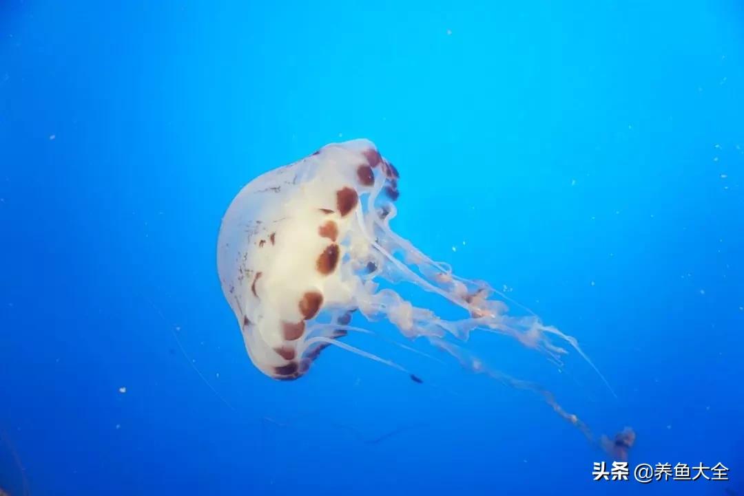 新手要注意的几个问题,新手都要知道的11个小问题