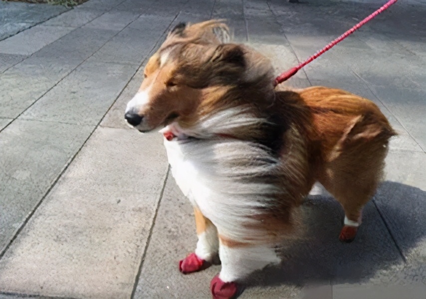 苹果手机天冷掉电快怎么解决,iphone14promax天冷为什么会掉电