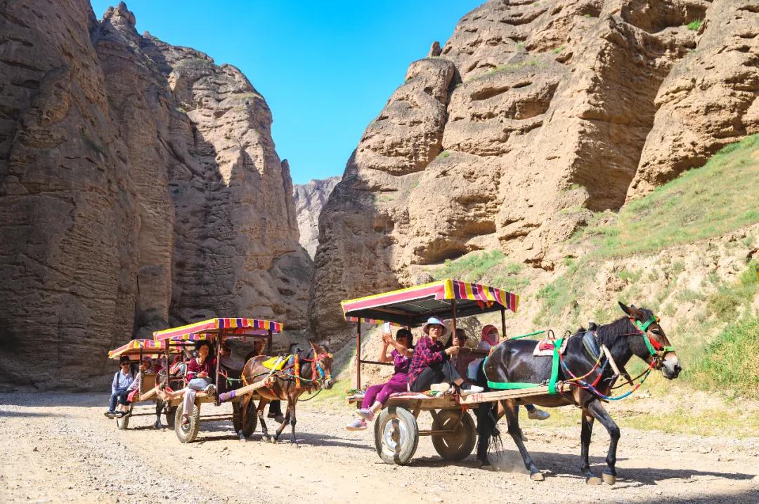 12个理由告诉你，为什么黄河石林值得一去再去