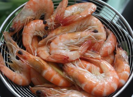 大虾储存为什么用瓶子,塑料瓶保存大虾的方法