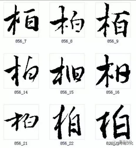 柏汉字怎么读,柏字汉字演变