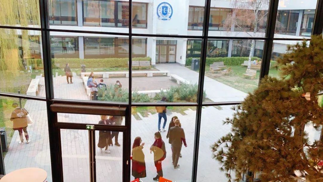 我真的很想回家视频,海外华人抗疫日记