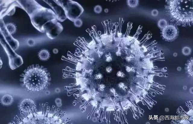 青海地方病,青海地方病有哪些特点