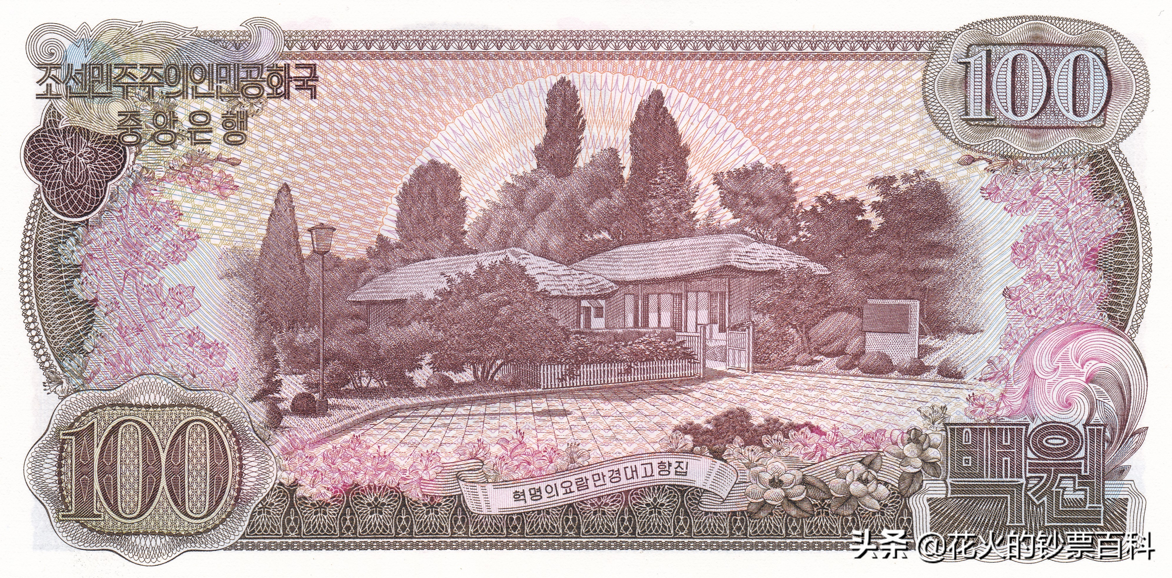 带你看一套朝鲜最好看的纸币