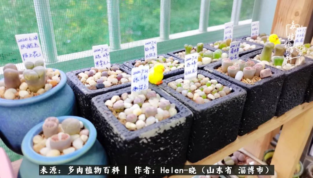 人到中年温暖如初,人到中年岁月静好