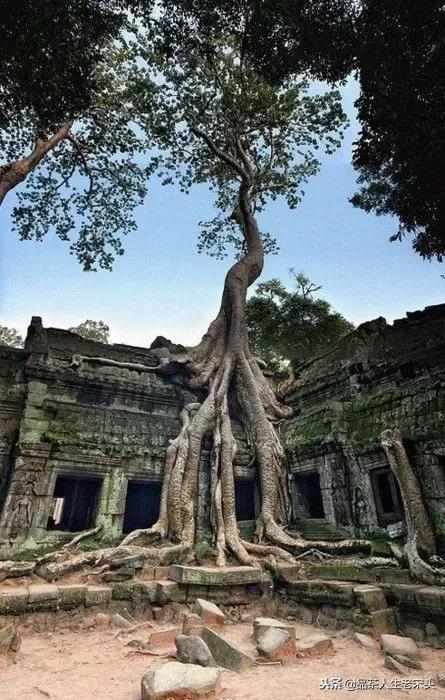 最新世界十大“怪”,最后一个太绝了!