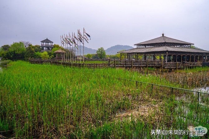 江南最大湿地风景区,不是西溪湿地,荣获中国最美湿地却少有人知