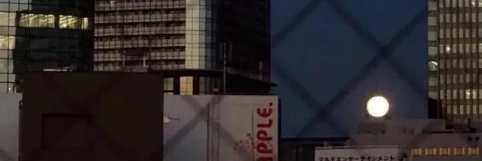 后浪奔涌不负韶华,后浪奔涌不负韶华视频