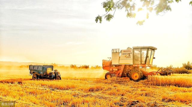 中央有多爱,吉林四平央企排名