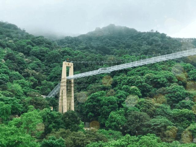 网红玻璃桥悬崖秋千,网红旅游打卡玻璃滑道