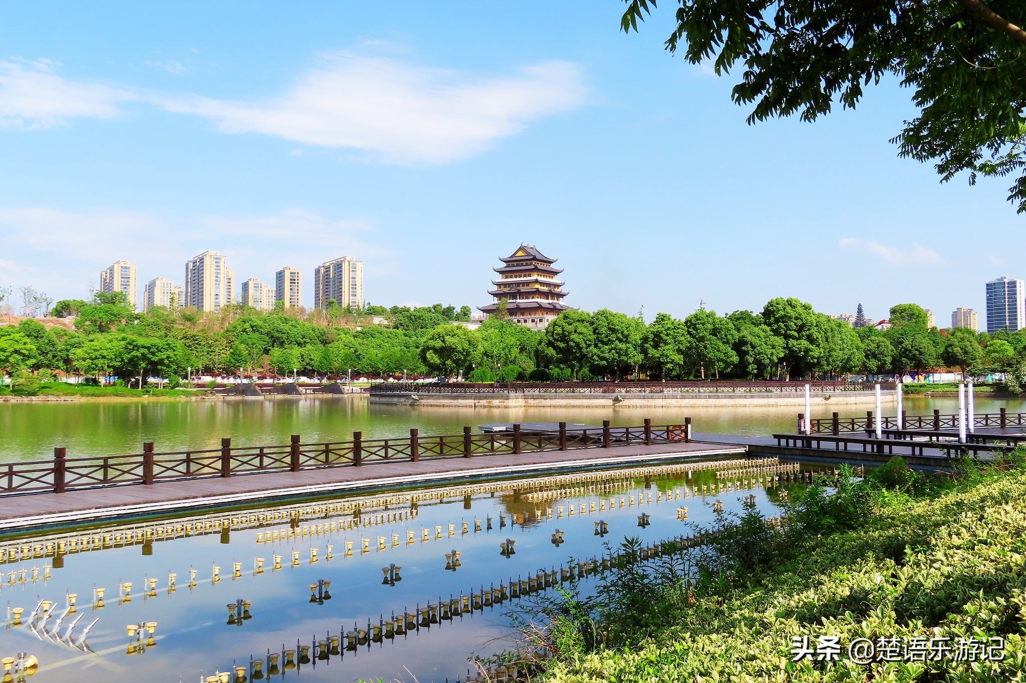 宁波奉化最好的公园,宁波奉化旅游景点推荐森林公园