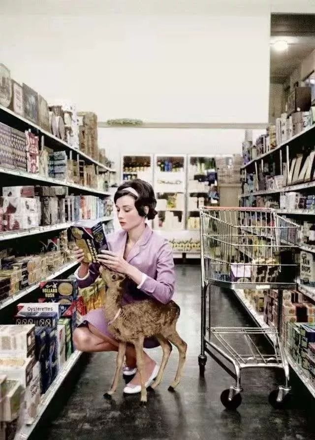 那些年舍友养过的奇葩宠物,你们身边的人都养什么奇怪的宠物