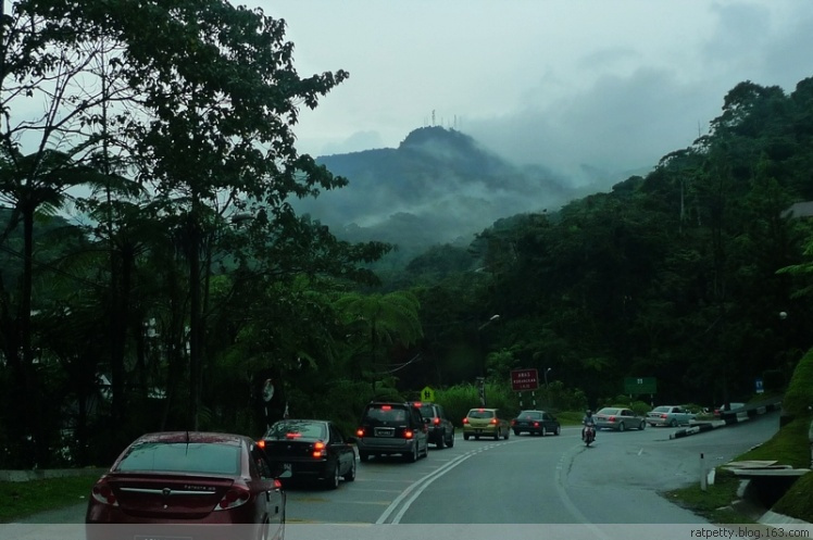 马来西亚办农庄,马来西亚农家小院