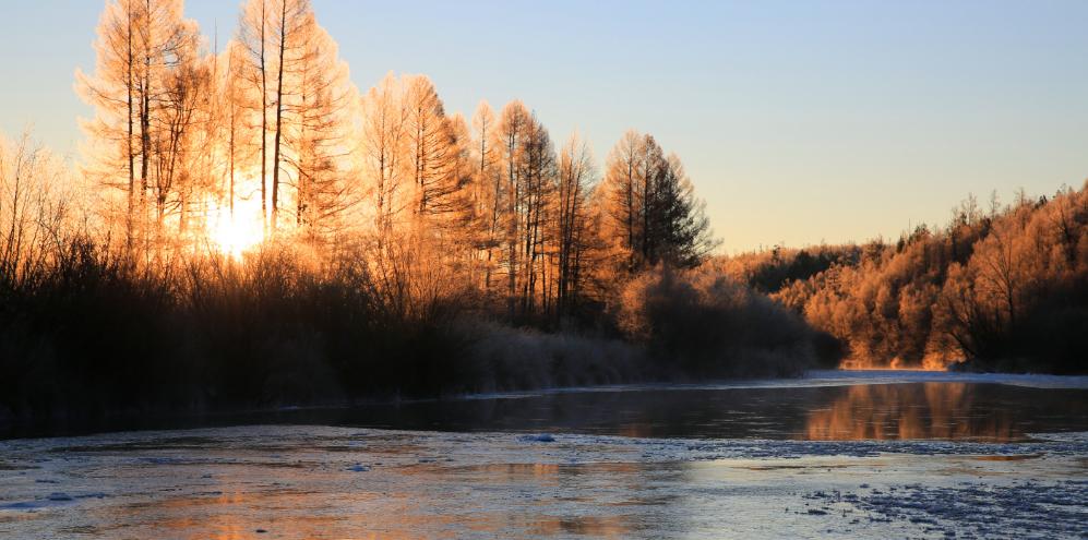 初冬最美诗词赏析,描写初冬的诗词大全