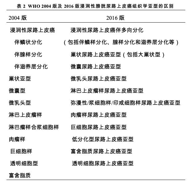 膀胱癌治疗安全共识,94岁老年膀胱癌诊疗经验