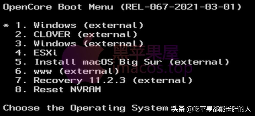 零基础2021最新macOSBigSur黑苹果安装完整教程opencore引导
