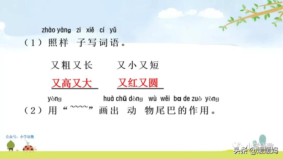 一年级小壁虎借尾巴原文图片,小壁虎借尾巴优质课一等奖