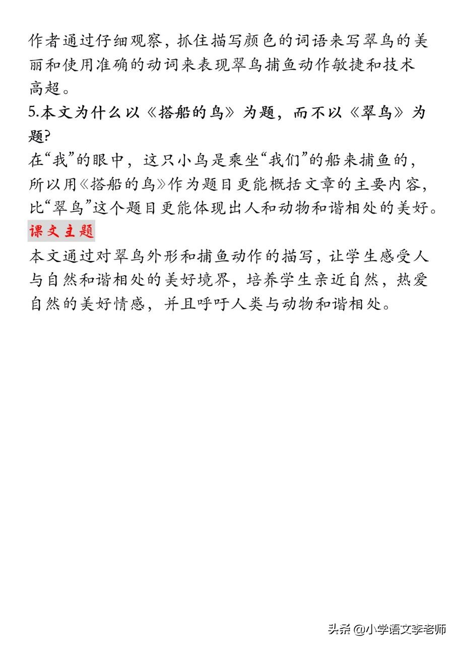 三年级搭船的鸟告诉我们什么道理,三年级上册语文搭船的鸟思维导图
