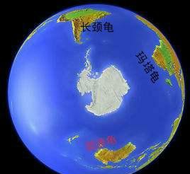 龟类分类大全图片,龟类的种类及图片大全