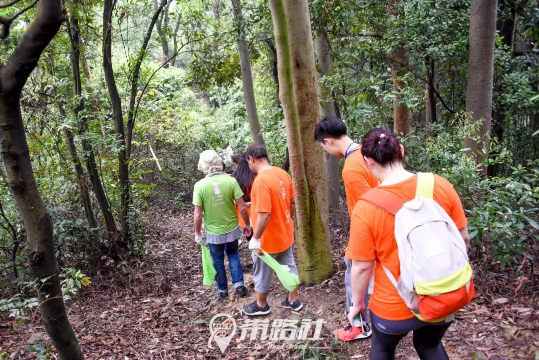 绿色环保行动实践活动总结,用行动践行绿色环保理念