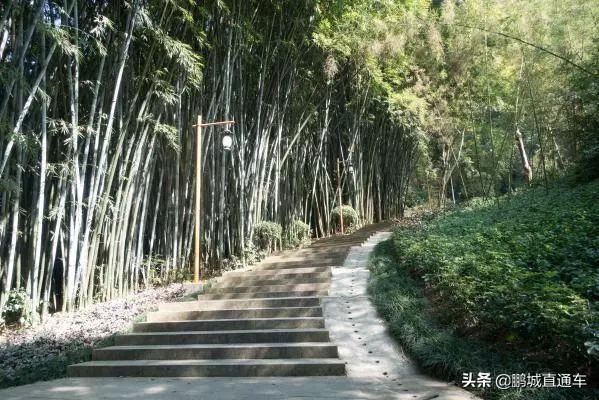 深圳八大主题公园免费开放,深圳遛娃50个必去的主题公园