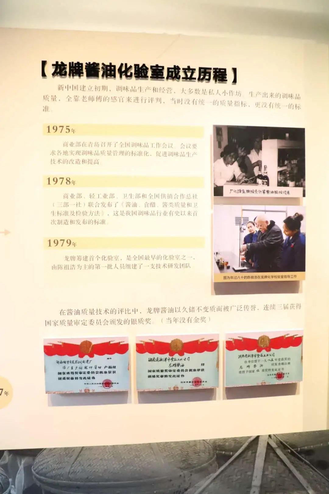 酱油瑰宝，龙牌探秘