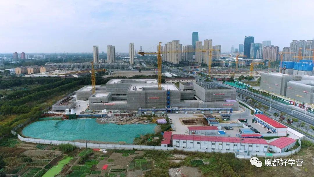 2020上海新开学校,上海新招生大学