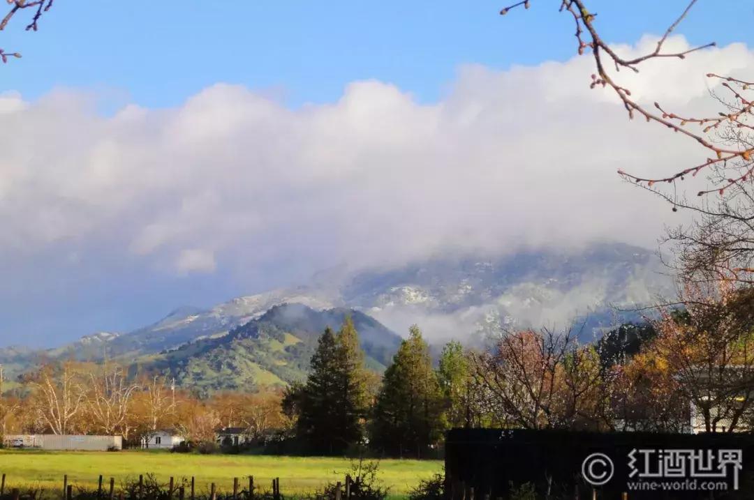 纳帕谷宁夏川波尔多,波尔多纳帕谷