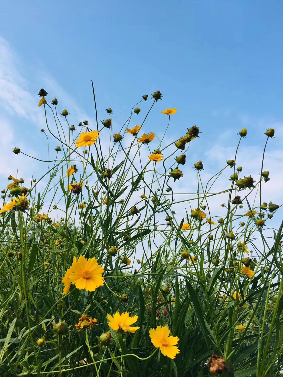 不爱学习的学生怎么引导,为什么差生不爱学习