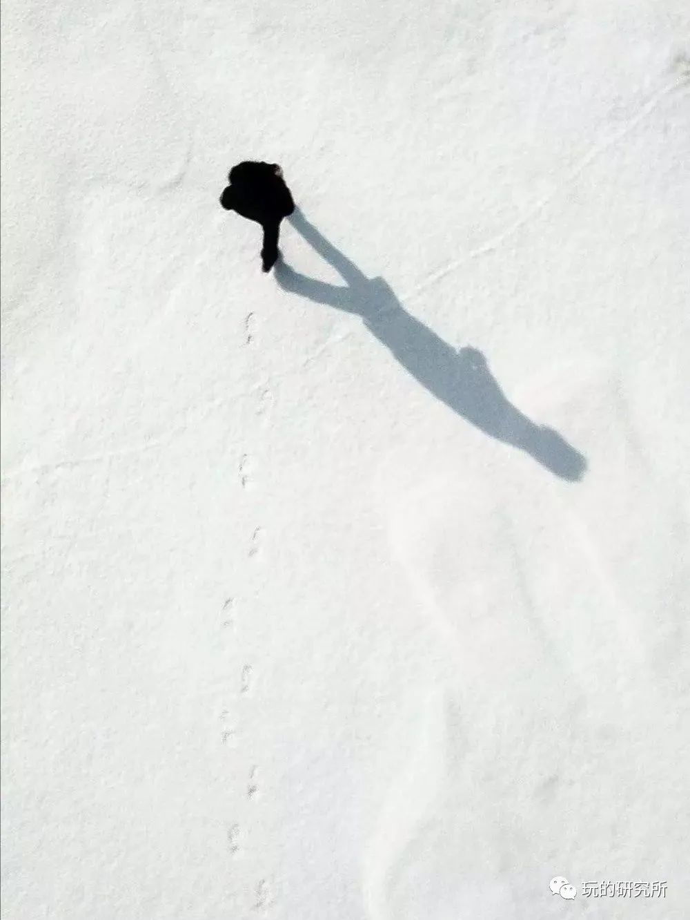 甲方爸爸全集大结局,甲方爸爸电视剧全集