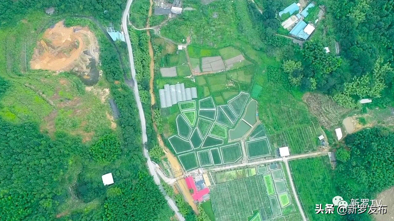 食尚岩味：红心芭乐