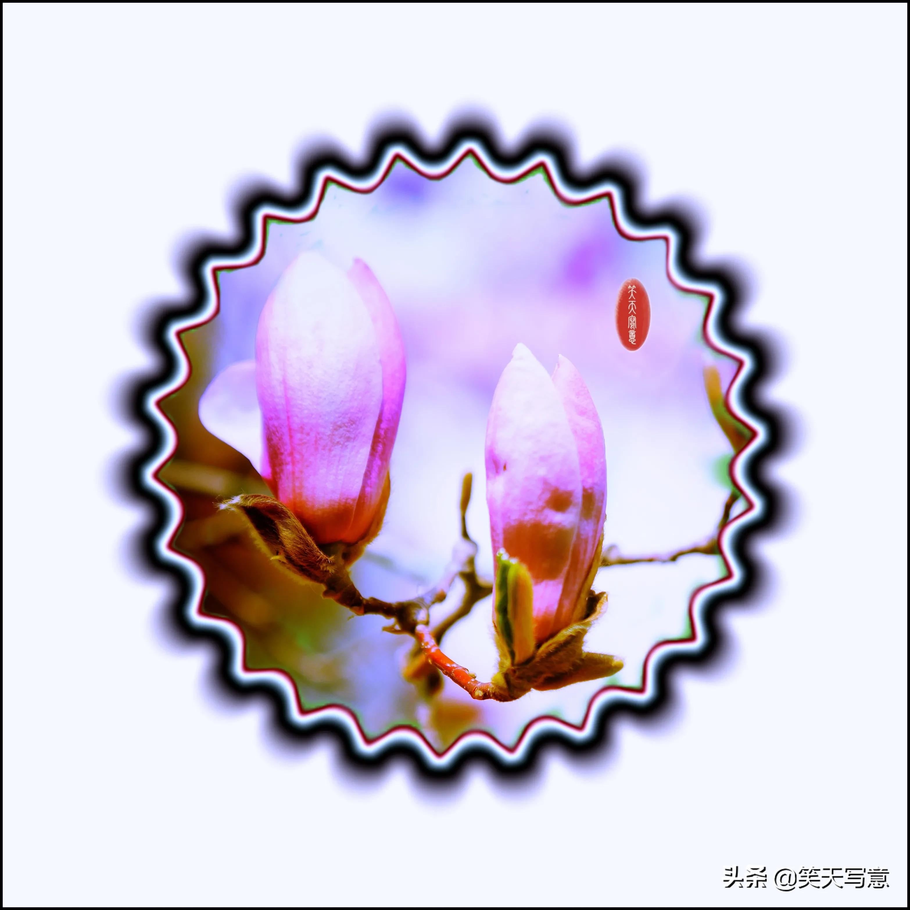 snapseed人像室内修图,手机修图snapseed