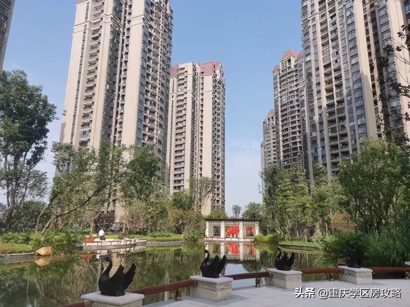 照母山的重点中学,照母山优质学区