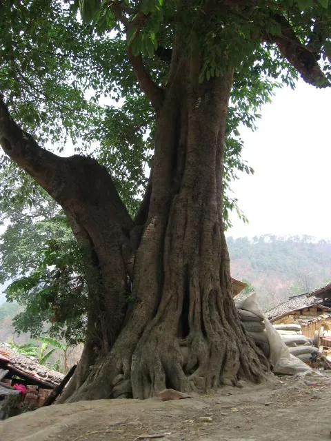 我的教育梦短片,我的教育初衷