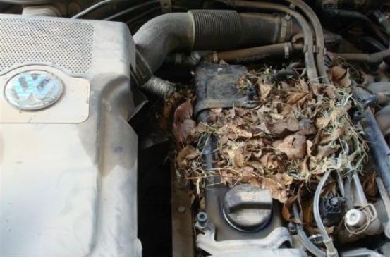 鍗婁环涓瀷suv,鍗婁环suv杞﹀瀷鎺ㄨ崘