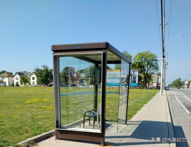 国际出行攻略,新西兰旅游攻略租车