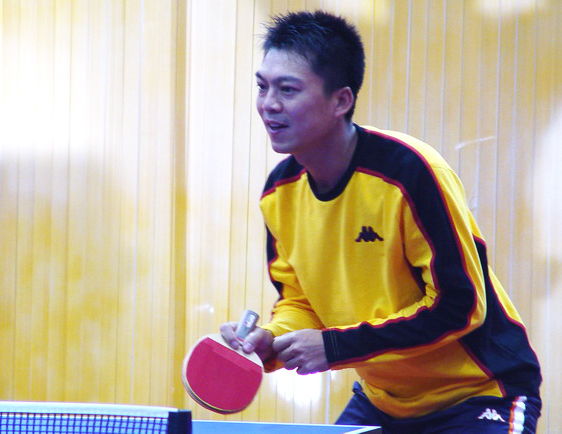 昙花一现的乒乓球,昙花一现选手