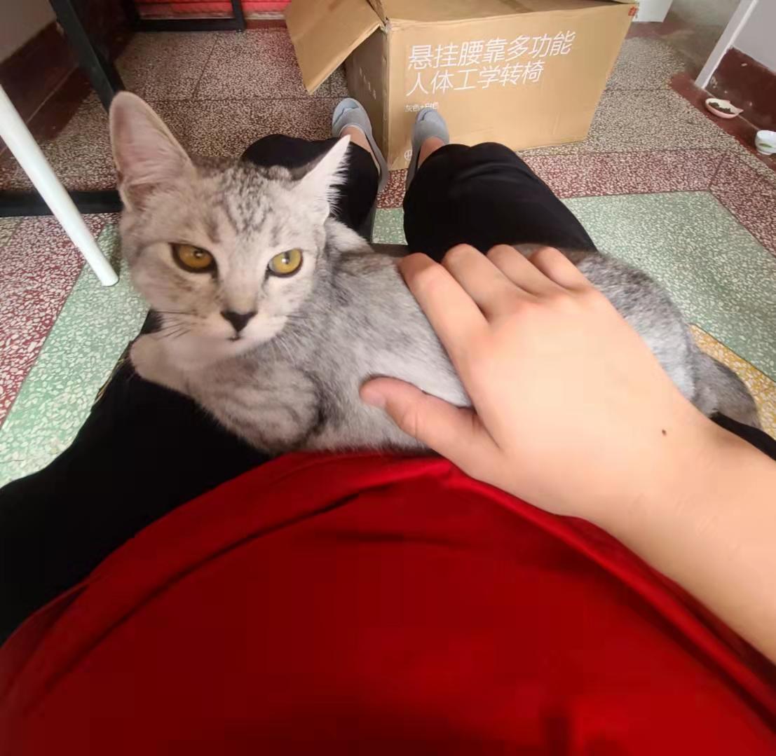 实测一把久坐腰不痛的智能办公椅,网易人体工学椅推荐