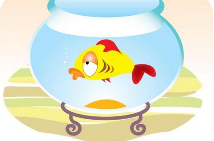 如何快速让孩子走出情绪焦虑,怎样教孩子学会abcd