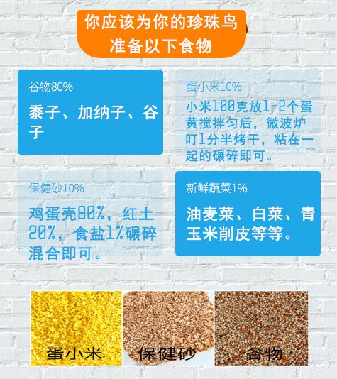 史上最详细的珍珠鸟饲养手册