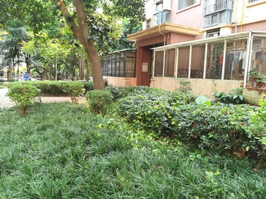 鍝佽川铚曞彉,鍝佽川铦跺彉