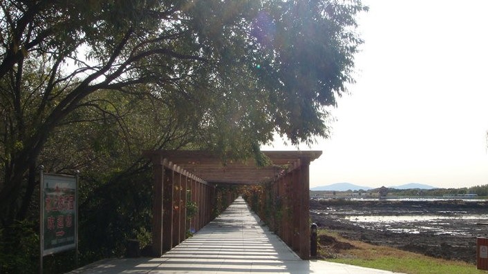 十一自驾绥芬河市,绥芬河到虎林自驾