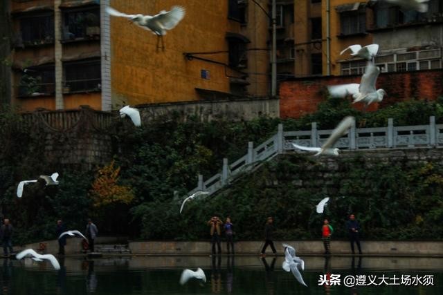 在冬天里看遵义湘江河上的秋色