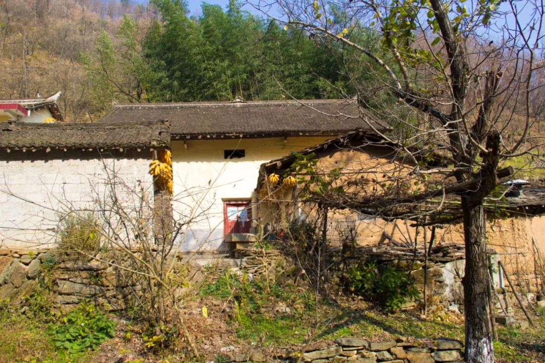 寻访秦岭龙潭村,背篓都是背在背上,这位大婶为何将其挎在腰间?