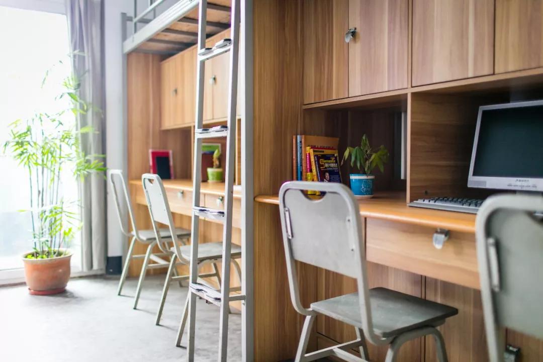 四川国际标榜学院的王牌专业,四川国际标榜职业学院网红