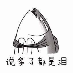 2023年宁波市平均工资,宁波市上年度月平均工资多少